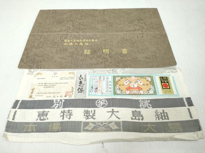 平和屋着物●本場大島紬　白大島　9マルキ　風景文　さが美扱い　証紙　証明書付き　恵大島紬織物謹製　正絹　逸品　DABI9299ud