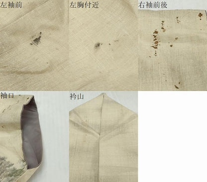 平和屋着物●訪問着　小千谷紬　100亀甲　樹林風景文　やまと誂製　正絹　逸品　DABI9347ud