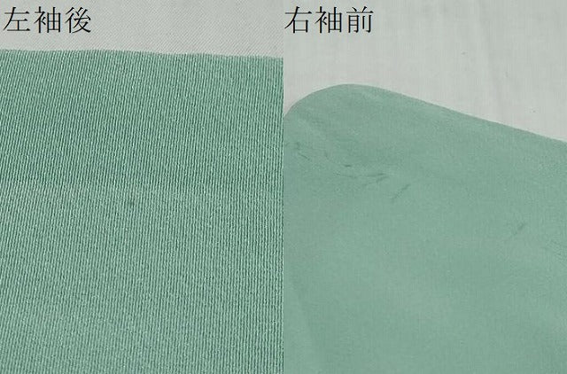 平和屋着物●訪問着　友禅　作家物　枝花文　シルエット　正絹　逸品　DABI9372ud