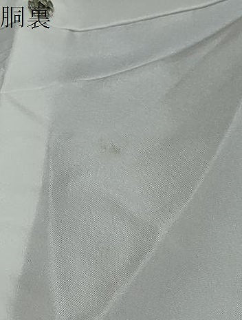 平和屋着物●円山應擧　色無地　松波風竹　鳩羽色　さが美扱い　正絹　逸品　未使用　DABI9383ud