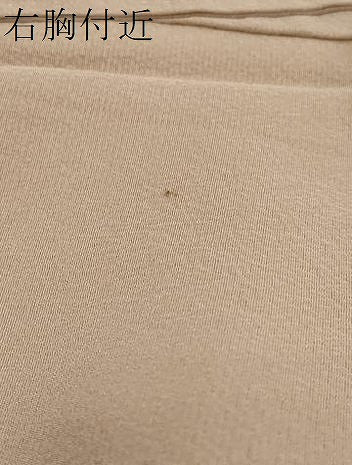 平和屋着物●訪問着　草花文　暈し染め　金彩　正絹　逸品　未使用　DABI9416ud