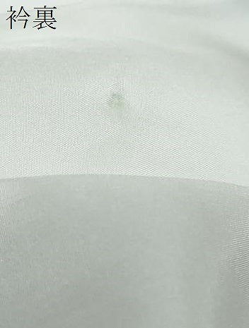 平和屋着物●本塩沢　舞蝶文　やまと誂製　正絹　逸品　未使用　DABI9436ud