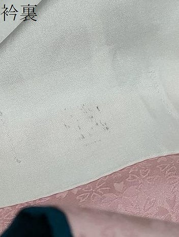 平和屋着物●豪華振袖　ラインストーン　草花文　暈し染め　金彩　銀通し地　正絹　逸品　DABI9452ud