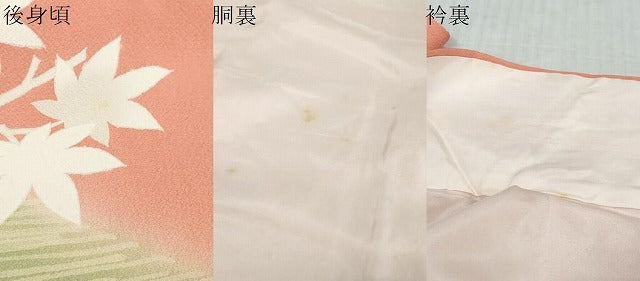 平和屋着物●人間国宝・羽田登喜男　訪問着　草花文　暈し染め　金彩　正絹　逸品　DABI9491ud