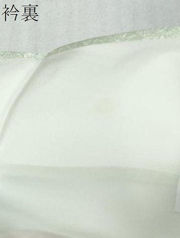 平和屋着物●訪問着　友禅　草花文　正絹　逸品　DABI9496ud