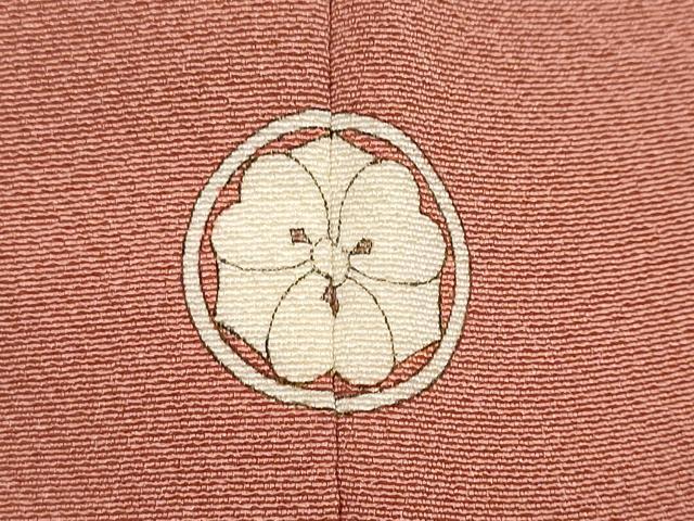 平和屋着物●上質な色無地　浅緋色　正絹　逸品　DABI9553ud
