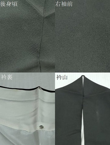 平和屋着物●訪問着　作家物　草花文　黒地　ロング丈　正絹　逸品　DABI9598ud