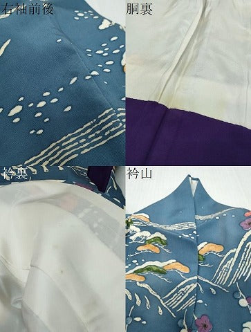 平和屋着物●訪問着　浜松枝梅文　正絹　逸品　DABI9691ud