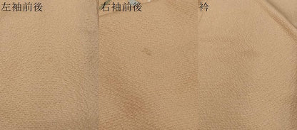 平和屋着物●訪問着　草花文　暈し染め　金彩　正絹　逸品　DABI9703ud
