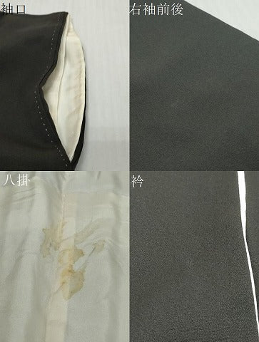 平和屋着物●豪華黒留袖　熨斗吉祥草花文　金彩　正絹　逸品　DABI9710ud