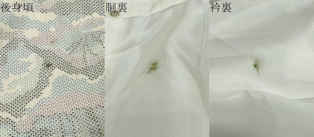 平和屋着物●本場大島紬　白大島　7マルキ　草葉文　正絹　逸品　未使用　DABI9723ud