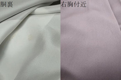 平和屋着物●人間国宝・羽田登喜男　色留袖　鴛鴦文　暈し染め　正絹　逸品　DABI9831ud