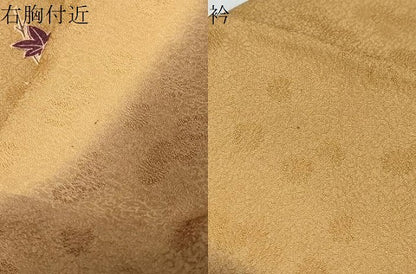 平和屋着物●訪問着　枝垂れ草花籬文　金彩　正絹　逸品　DABI9902ud