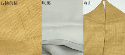 平和屋着物●訪問着　作家物　紬地　手描き　枝花文　正絹　逸品　DABI9905ud