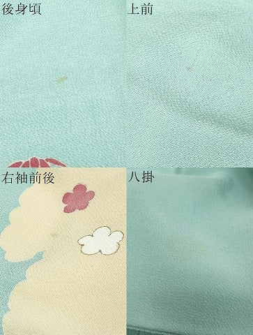 平和屋着物●訪問着　雲取り風景草花文　金彩　鬼しぼ縮緬　正絹　逸品　DABI9921ud