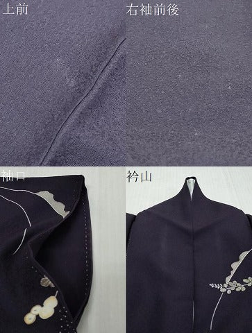 平和屋着物●訪問着　草花文　金彩　正絹　逸品　DABI9942ud