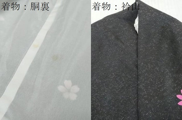 平和屋着物●豪華振袖・長襦袢（袷）セット　駒刺繍　草花文　暈し染め　銀通し地　正絹　逸品　DABI9951ud