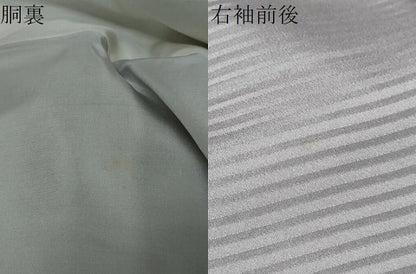 平和屋着物●訪問着　花蝶文　暈し染め　金彩　正絹　逸品　DABI9977ud