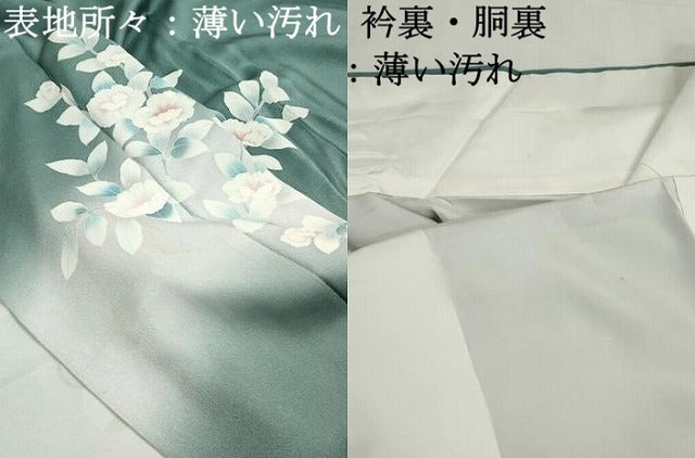 平和屋着物■訪問着　刺繍　枝花文　暈し染め　銀糸　正絹　逸品　DABJ0012qa
