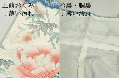 平和屋着物■豪華振袖　駒刺繍　絞り　孔雀花文　牡丹　暈し染め　銀彩　正絹　逸品　DABJ0015qa
