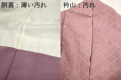 平和屋着物■訪問着　枝花文　正絹　逸品　DABJ0033qa