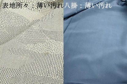 平和屋着物■江戸小紋　寄せ小紋柄　小花文　正絹　逸品　DABJ0053qa