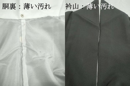平和屋着物■豪華黒留袖　手描き　風景樹林文　暈し染め　正絹　逸品　DABJ0055qa