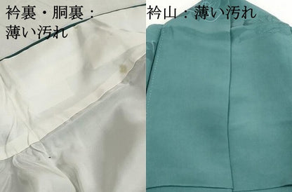 平和屋着物■上質な小紋　薔薇尽くし　バラ　青磁色　正絹　逸品　DABJ0078qa