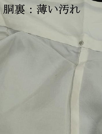 平和屋着物■上質な紬　変わり間道　正絹　逸品　DABJ0094qa
