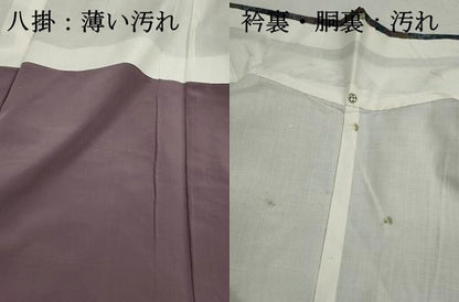 平和屋着物■本場大島紬　7マルキ　舞楓文　正絹　逸品　DABJ0162qa