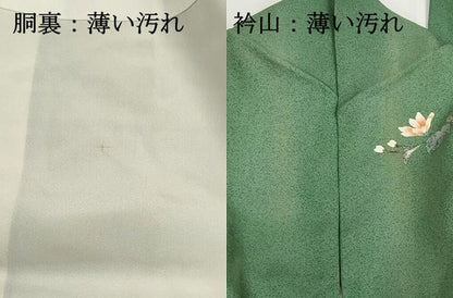 平和屋着物■訪問着　花蝶文　暈し染め　金銀彩　正絹　逸品　DABJ0195qa