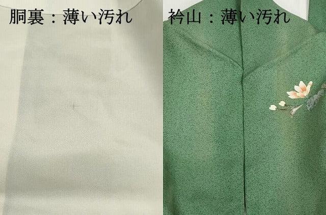 平和屋着物■訪問着　花蝶文　暈し染め　金銀彩　正絹　逸品　DABJ0195qa