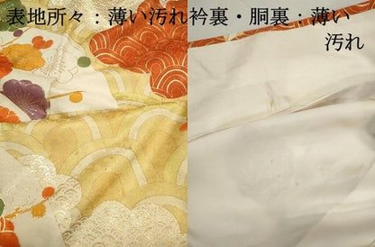 平和屋着物■豪華振袖　駒刺繍　地紙青海波花文　金彩　正絹　逸品　DABJ0201qa