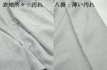 平和屋着物■上質な色無地　菊尽くし地紋　薄雲鼠色　正絹　逸品　DABJ0219qa