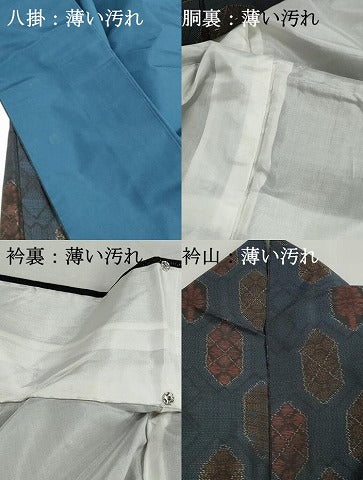 平和屋着物■本場大島紬　亀甲花文　正絹　逸品　DABJ0224qa