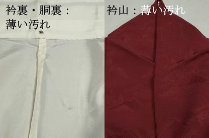 平和屋着物■上質な色無地　風景地紋　葡萄茶色　正絹　逸品　DABJ0252qa