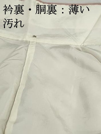 平和屋着物■上質な小紋　霞文　暈し染め　鬼しぼ縮緬　正絹　逸品　DABJ0344qa