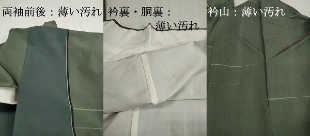 平和屋着物■上質な紬　間道　正絹　逸品　DABJ0345qa