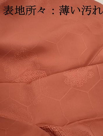 平和屋着物■上質な色無地　亀甲花地紋　鉛丹色　正絹　逸品　DABJ0346qa