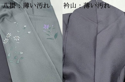 平和屋着物■上質な色無地　霞地紋　薄鼠色　正絹　逸品　DABJ0370qa