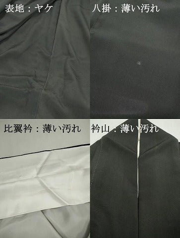 平和屋着物■豪華黒留袖　作家物　駒刺繍　霞群鶴文　暈し染め　正絹　逸品　DABJ0382qa