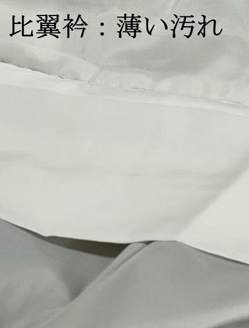 平和屋着物■豪華黒留袖　作家物　流水牡丹文　松竹梅　金彩　正絹　逸品　DABJ0384qa