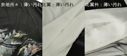 平和屋着物■豪華黒留袖　風景樹林文　暈し染め　金彩　正絹　逸品　DABJ0425qa