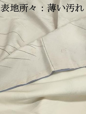 平和屋着物■訪問着　型染め　菊尽くし　正絹　逸品　DABJ0434qa