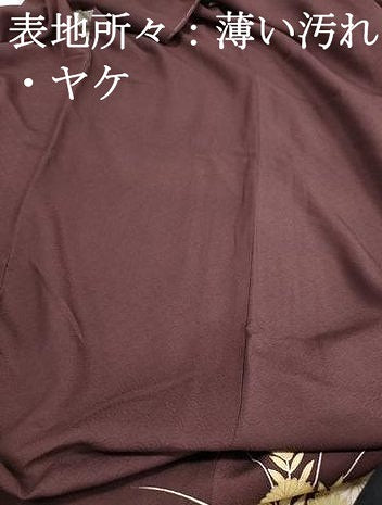 平和屋着物■豪華色留袖　花筏文　金彩　正絹　逸品　DABJ0455qa