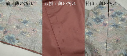 平和屋着物■上質な紬　草花文　暈し染め　正絹　逸品　DABJ0461qa