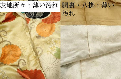 平和屋着物■豪華振袖　駒刺繍　絞り　花蝶菊唐草文　金彩　正絹　逸品　DABJ0480qa