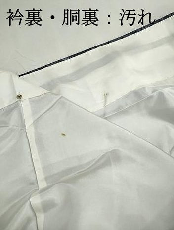 平和屋着物■上質な紬　風景文　正絹　逸品　DABJ0501qa