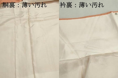 平和屋着物■江戸小紋　鮫小紋柄　正絹　逸品　DABJ0508qa