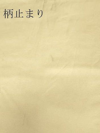平和屋着物▼六通柄袋帯　唐織　正倉院亀甲花鳥文　金糸　正絹　逸品　DABJ1016az